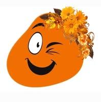 www.totaloutlet.md