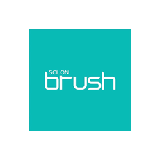 SALON BRUSH
