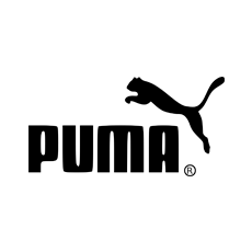 PUMA Bălți